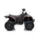 CAN AM RENEGADE 24V 4X4 ΜΠΕΖ