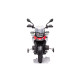 BMW F850 GS LIMITED 12V LICENSE RED